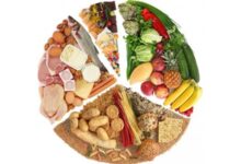 khoa học dinh dưỡng và ẩm thực