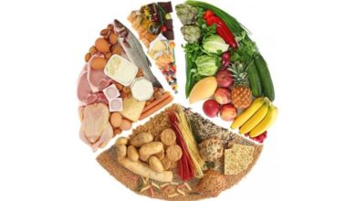 khoa học dinh dưỡng và ẩm thực