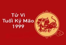 tử vi 1999 năm 2024