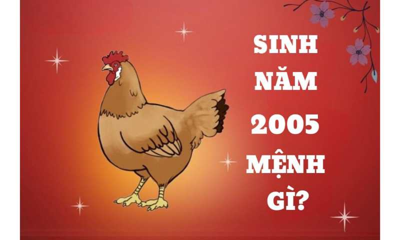 Con sinh năm 2005 mệnh gì?