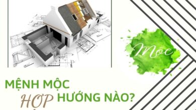 Phong thuỷ phòng bếp cho người mệnh mộc