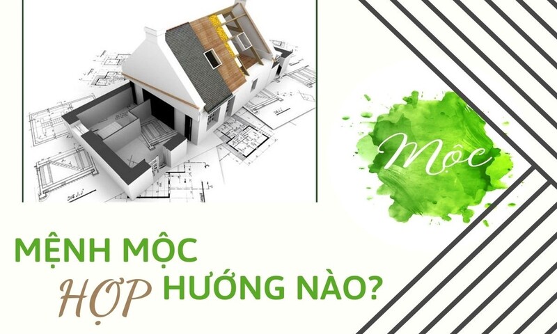 Phong thuỷ phòng bếp cho người mệnh mộc