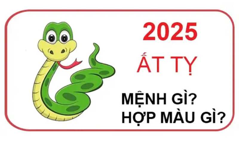  tuổi tỵ sinh năm 2025 mệnh gì